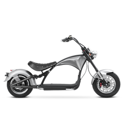 Emars M1P - Space Silver - Sold Out