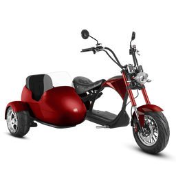 M1P & SIDECAR - Garnet