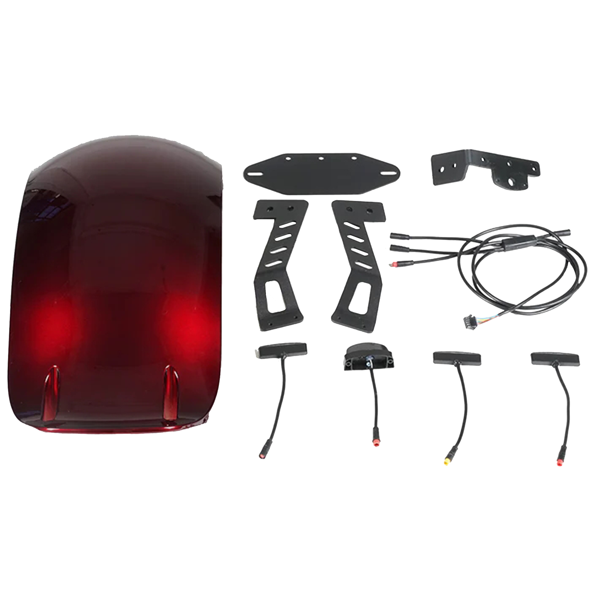 Customized Rear Fender Kit