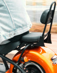 Two-Seat M1P Rear Seat