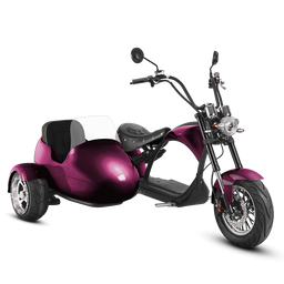 M1P & SIDECAR - Purple - Sold Out