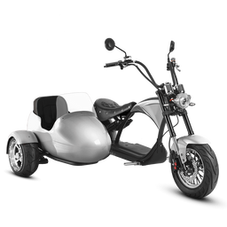 M1P & SIDECAR - Space Silver - Sold Out