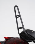 Rear Backrest