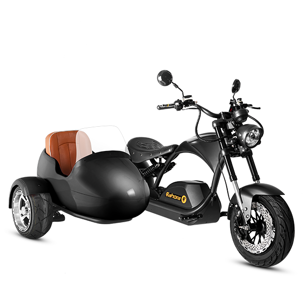 E bike sidecar for sale sales