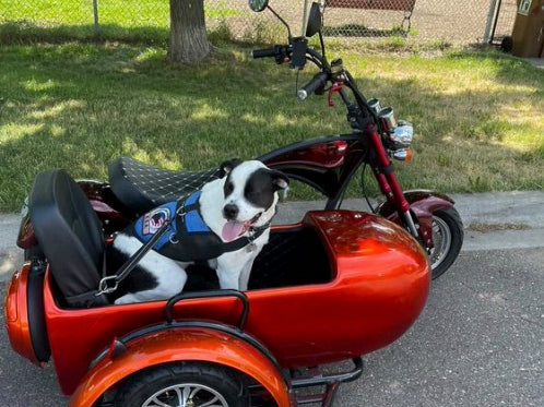 Motorcycle Sidecar - Eahora Electric Fat Tire Scooter Motorcycle ...