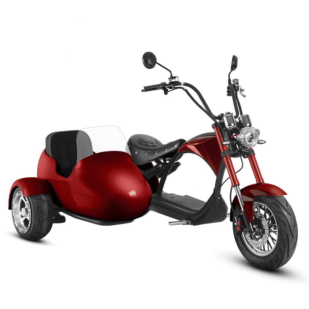 Eahora M1P + Sidecar - Garnet