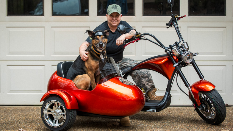 Sidecar dog motorcycle shop