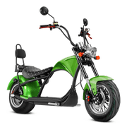 3000W Street Legal Scooters_Electric Scooter Seat_Eahora Two-seat M1_Apple_Green 1