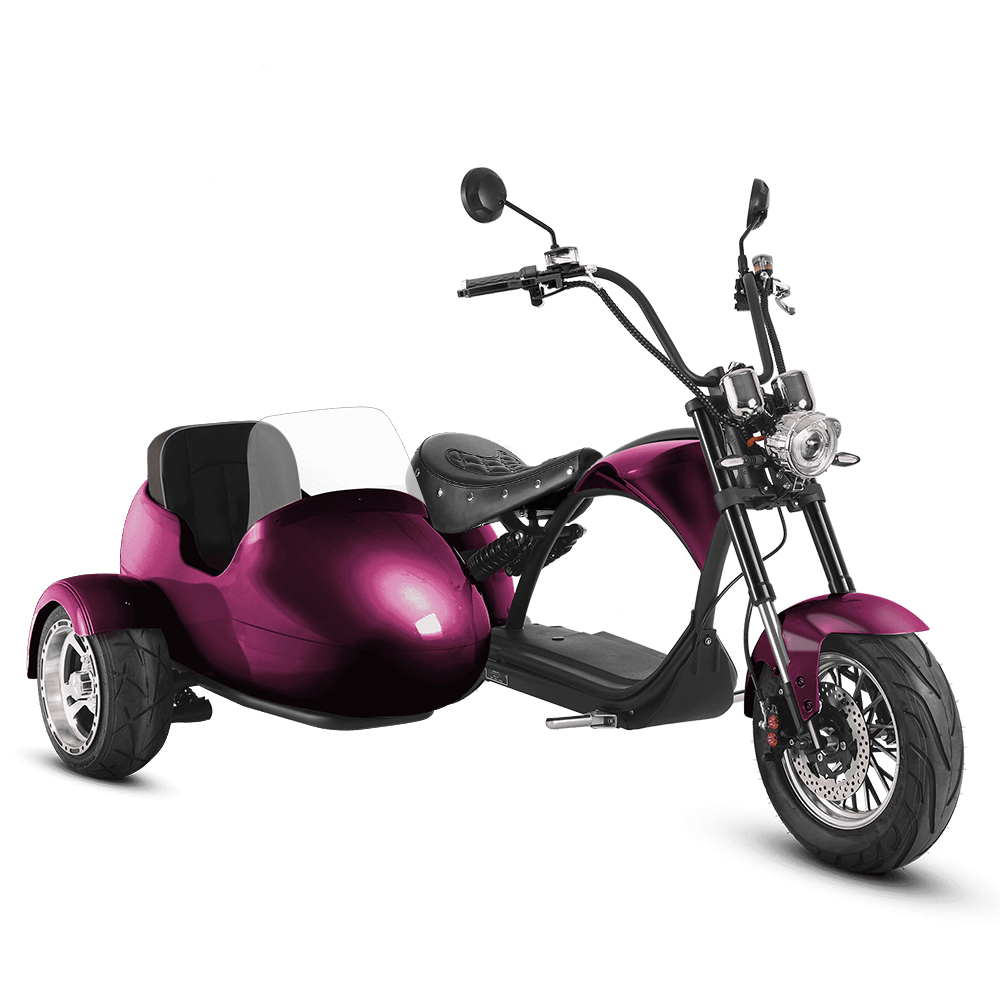 Eahora M1P + Sidecar - Purple