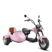 Motorcycle With Sidecar_2000W Electric Trike Scooter_Pink