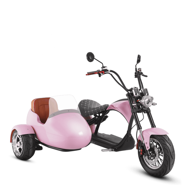 Motorcycle & Sidecar 2000W Electric Trike Scooter Eahora M1P Pink