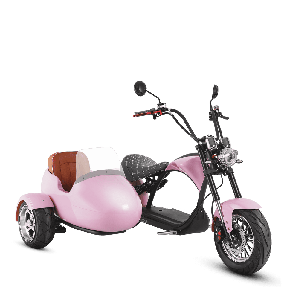 Motorcycle & Sidecar 2000W Electric Trike Scooter Eahora M1P Pink