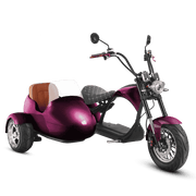 Motorcycle With Sidecar_2000W Electric Trike Scooter_Purple