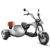 Motorcycle With Sidecar_2000W Electric Trike Scooter_Eahora_M1P_Silver